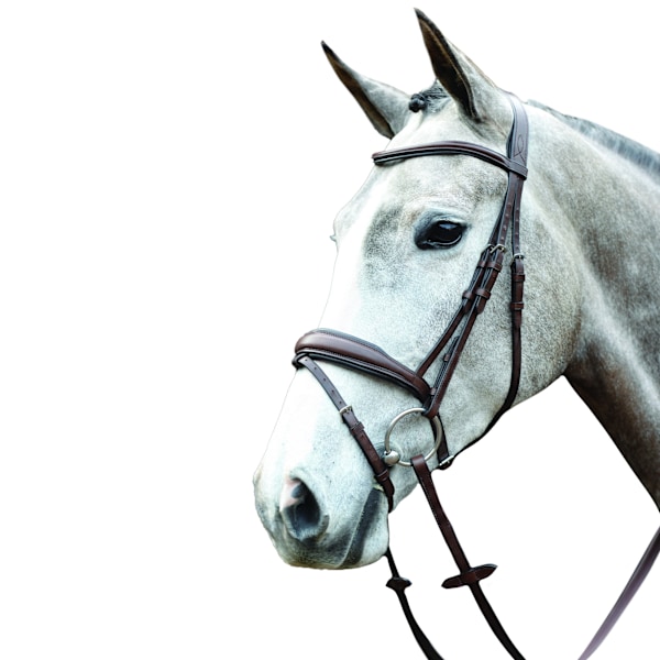 Collegiate Mono Crown Vadderat Upphöjt Läder Flash Träns Varmblod Brown Warmblood
