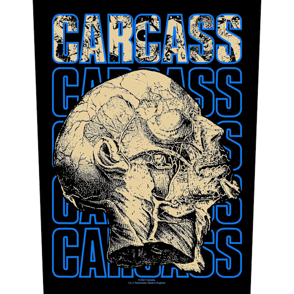 Carcass Necro Head Patch One Size Blå/Sand Blue/Sand One Size