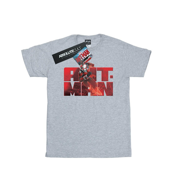 Marvel Boys Ant-Man Löpar T-shirt 12-13 År Sports Grey Sports Grey 12-13 Years