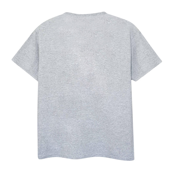Star Wars: The Mandalorian Dam/Dam Trick Or Treat Boyfriend Sports Grey 5XL