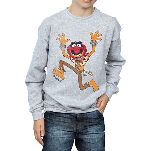 The Muppets Boys Classic Animal Sweatshirt 12-13 år Sports G Sports Grey 12-13 Years