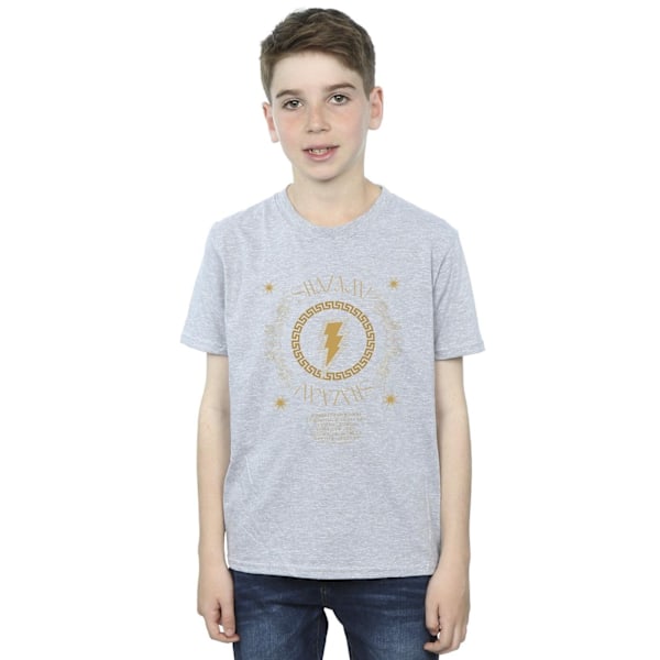 DC Comics Boys Shazam Fury Of The Gods Golden Spiral Chest T-Sh Sports Grey 5-6 Years