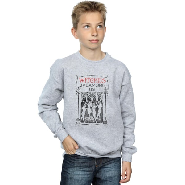 Fantastic Beasts Boys Witches Live Among Us Sweatshirt 7-8 år Sports Grey 7-8 Years