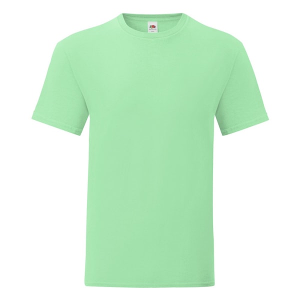Fruit Of The Loom Iconic T-shirt för män (5-pack) XL Neo Mint Neo Mint XL