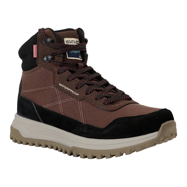 Regatta Mayfield Vandringskängor i Mocka för Män 6.5 UK Kastanjebruna Chestnut Brown 6.5 UK