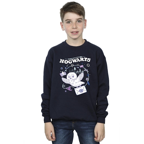 Harry Potter Pojkar Uggla Brev Från Hogwarts Sweatshirt 3-4 År Navy Blue 3-4 Years