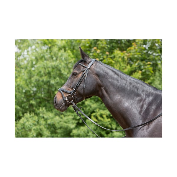 Kieffer Ultrasoft Tara Snaffle Bridle Cob Svart Black Cob