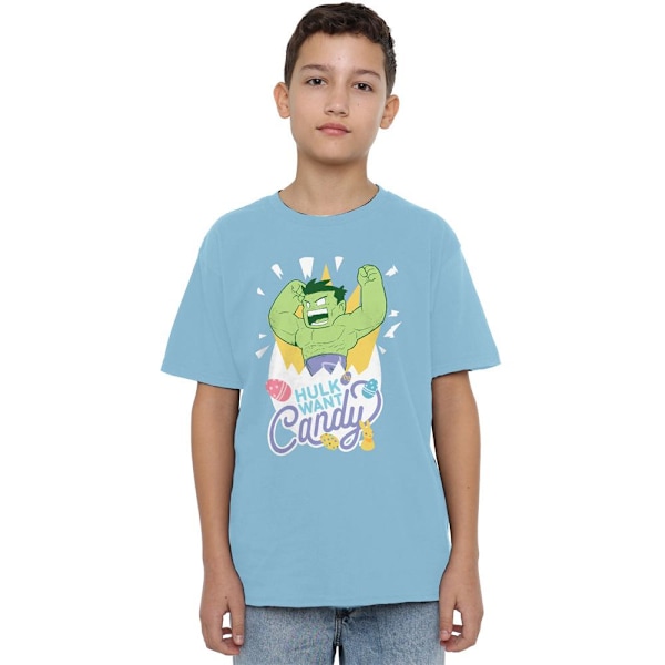 Hulk Barn/Barn Vill Ha Godis Påsk T-Shirt 9-10 År Himmelsblå Sky Blue 9-10 Years
