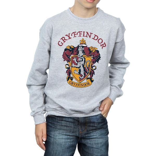 Harry Potter Pojkar Gryffindor Bomullströja 12-13 År Spor Sports Grey 12-13 Years