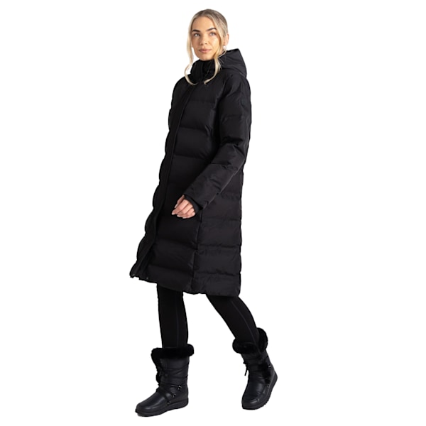 Dare 2B Dam/Kvinnor Wander Vadderad Jacka 16 UK Svart Black 16 UK