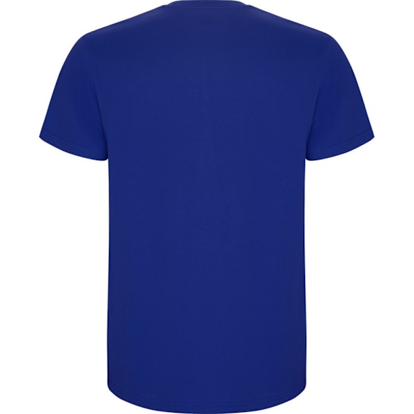Roly Barn/Barn Stafford Kortärmad T-shirt 3-4 År Ro Royal Blue 3-4 Years