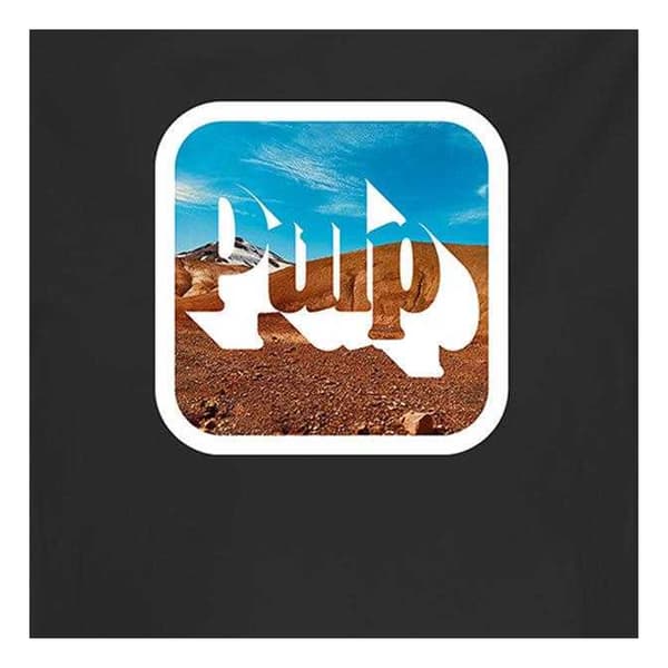 Amplified Dam Pulp Bomull Crop Top XXL Mörkgrå Charcoal XXL