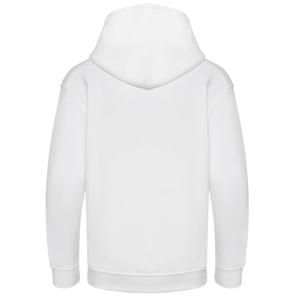 Awdis Barn/Barn Hoodie 3-4 År Arktisk Vit Arctic White 3-4 Years