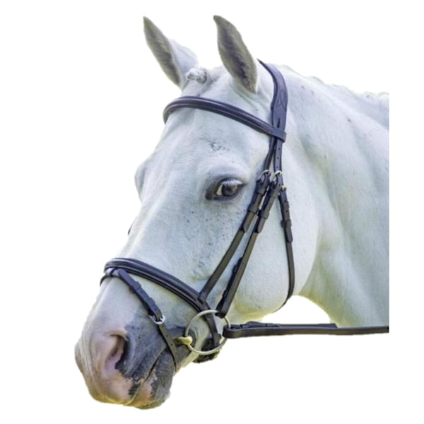 Velociti Raised Flash Läder Hästgrimma Ponny Havana Havana Pony