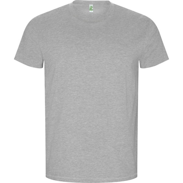 Roly Herr T-shirt med korta ärmar, Golden Plain, 3XL, Grå Melange Grey Marl 3XL