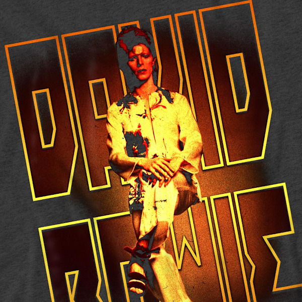 David Bowie Unisex Vuxen Perched T-Shirt XXL Kolgrå Charcoal XXL