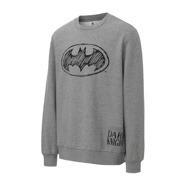 Batman Herr Karaktär Tröja med Rund Hals L Grå Grey L