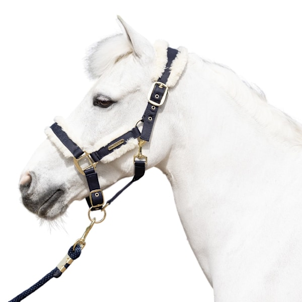 Coldstream Langlee Lyxig Hästgrimma och Ledrep Cob Marin Navy Cob