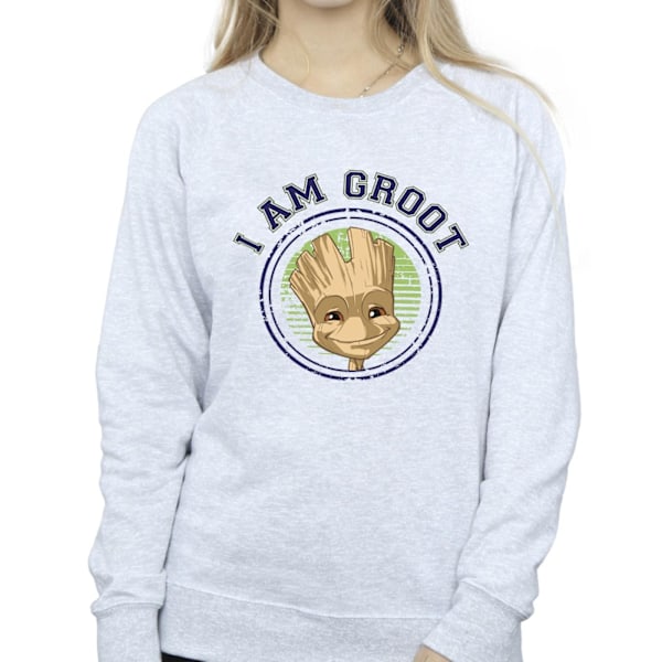 Guardians Of The Galaxy Dam/Damer Groot Varsity Sweatshirt Sports Grey M