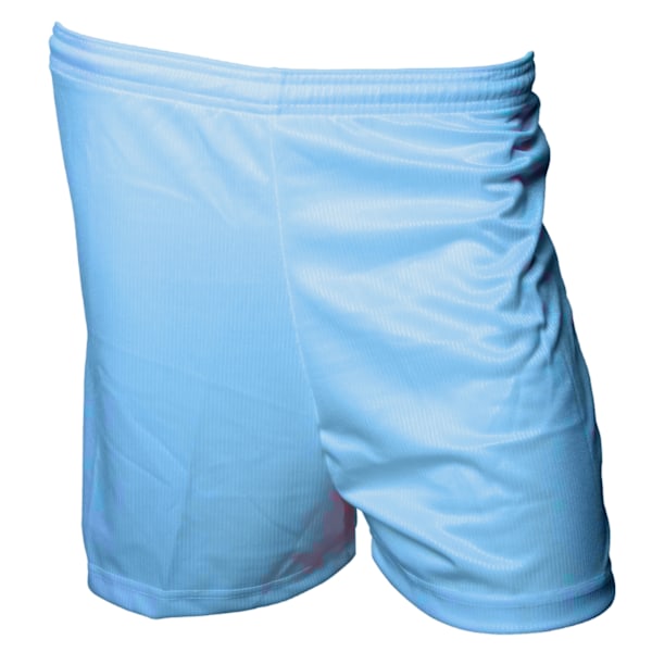 Precision Unisex Vuxen Micro-Stripe Fotbollsshorts M-L Sky Blu Sky Blue M-L