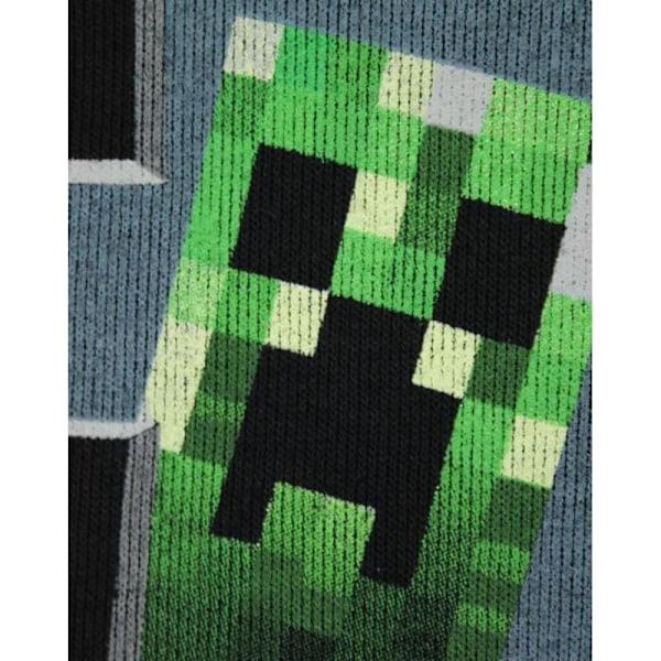 Minecraft Boys Inside Creeper Hoodie 3-4 år Svart Black 3-4 Years