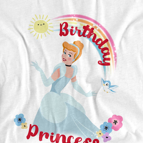Askungen Unisex Vuxen Födelsedag Prinsessa T-Shirt XXL Vit White XXL