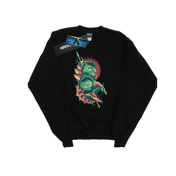DC Comics Boys Aquaman Xebel Crest Sweatshirt 7-8 år Svart Black 7-8 Years
