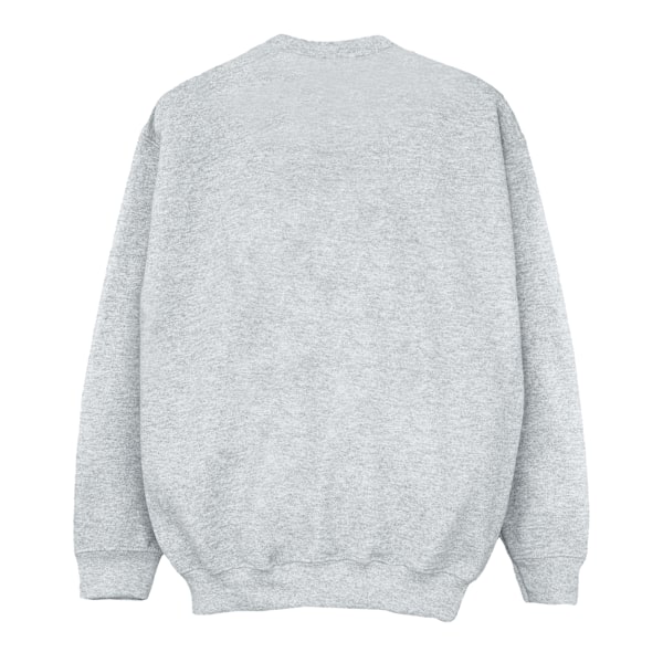 Harry Potter Pojkar Hogwarts Crest Sweatshirt 7-8 År Sports Grå Sports Grey 7-8 Years
