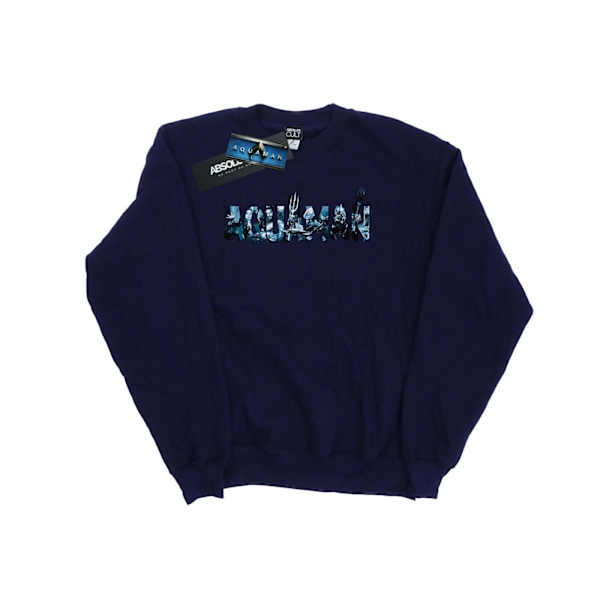 DC Comics Girls Aquaman Text Logo Sweatshirt 9-11 år Marinblå Navy Blue 9-11 Years