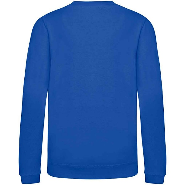 AWDis Just Hoods Barn/Barn Ungdom Enfärgad Sweatshirt med Rund Hals 3-4 Bright Royal 3-4 Years