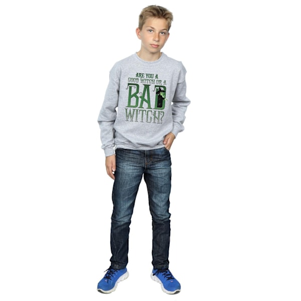 Trollkarlen från Oz pojkar goda häxan onda häxan tröja 5-6 år Sports Grey 5-6 Years