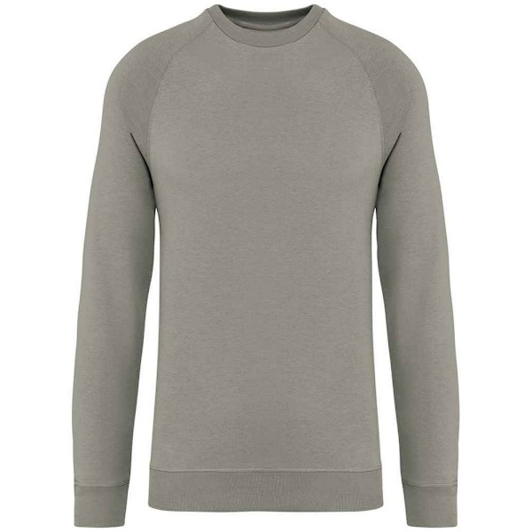 Native Spirit Unisex Raglantröja för vuxna M Mandelgrön Almond Green M