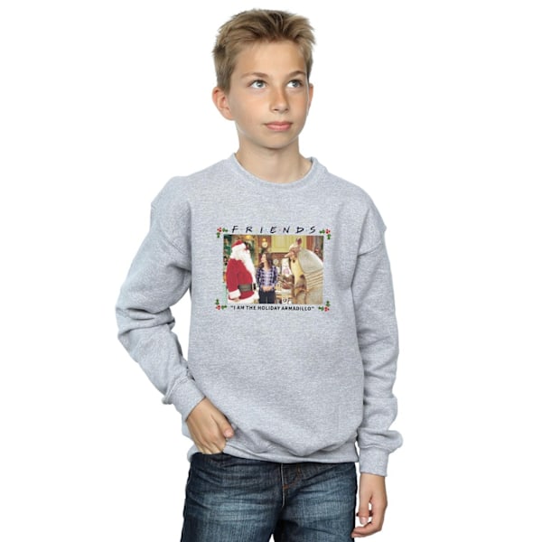 Friends Boys I Am The Holiday Armadillo Sweatshirt 7-8 År Sp Sports Grey 7-8 Years