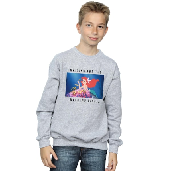 Disney Princess Boys Ariel Väntar På Helgen Sweatshirt 7 Sports Grey 7-8 Years