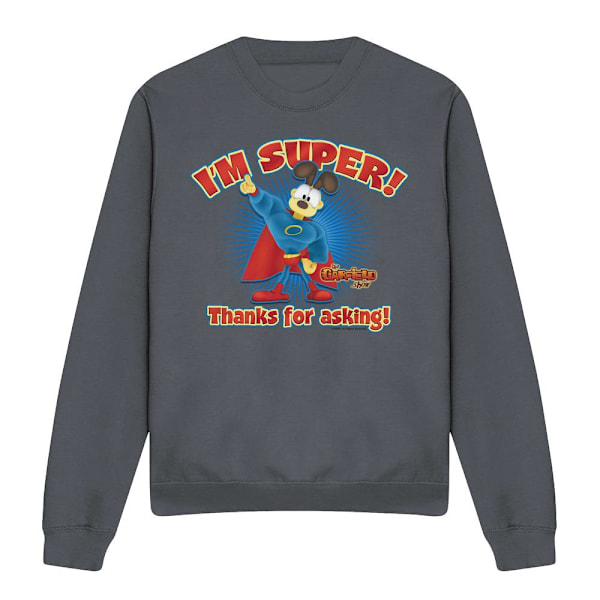 Garfield Unisex Vuxen Super Sweatshirt M Kolgrå Charcoal M