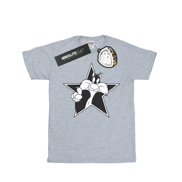 Looney Tunes Boys Sylvester Mono Star T-shirt 5-6 år Sport Sports Grey 5-6 Years