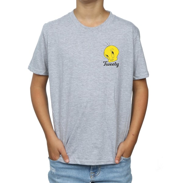 Looney Tunes Boys Tweety Pie Head T-Shirt 12-13 år Sports Grå Sports Grey 12-13 Years