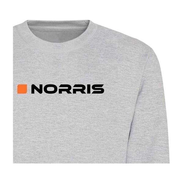 AWD Unisex Vuxen Norris Sweatshirt S Grå Grey S