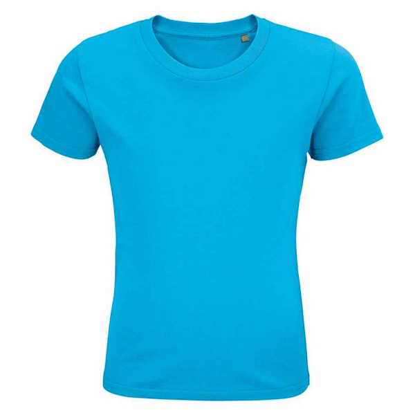 SOLS Barn/Barn Pioneer Ekologisk T-shirt 12 År Aqua Aqua 12 Years