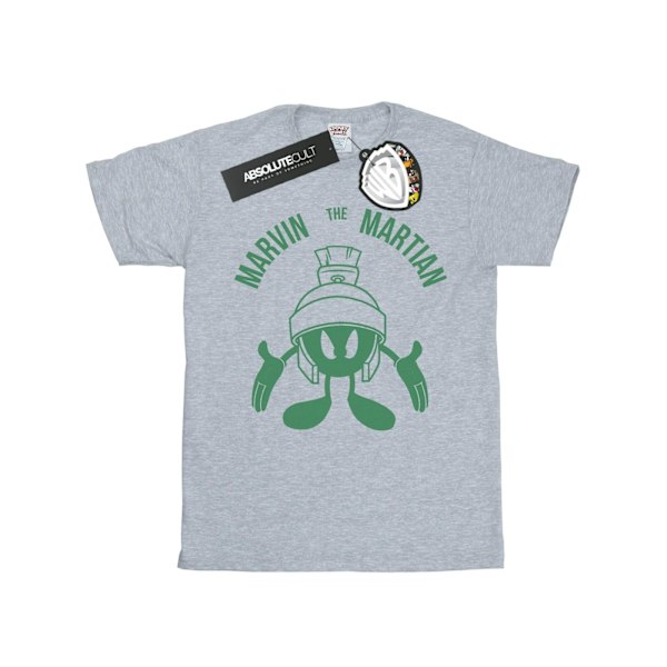 Looney Tunes Herr Marvin The Martian Stor Huvud T-shirt L Sport Sports Grey L