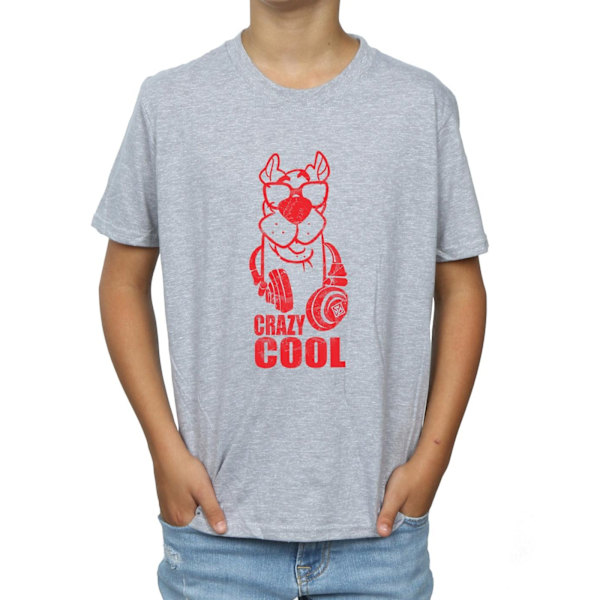 Scooby Doo Boys Crazy Cool T-shirt 7-8 år Sports Grey Sports Grey 7-8 Years