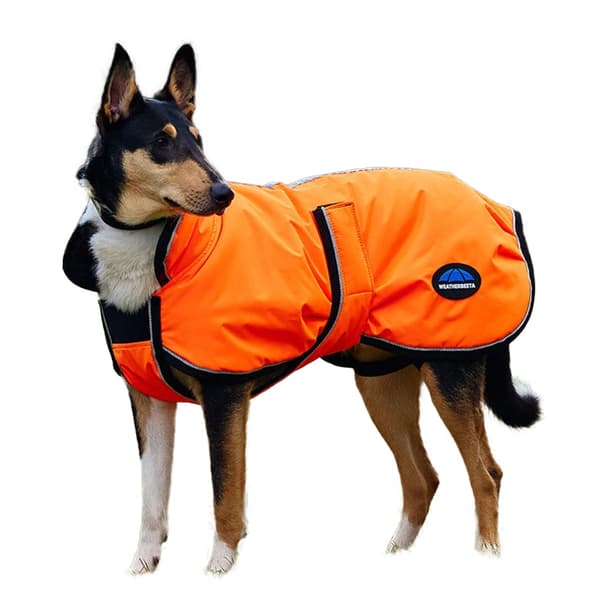 Weatherbeeta Comfitec Deluxe Reflekterande Duschsäker Hundtäcke 70 Orange 70cm