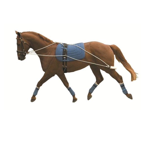 Kincade Lunging Training System One Size kan variera May Vary One Size