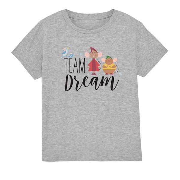 Askungen Barn/Kids Team Dream Jaq Och Gus T-shirt 7-8 År Sport Heather 7-8 Years
