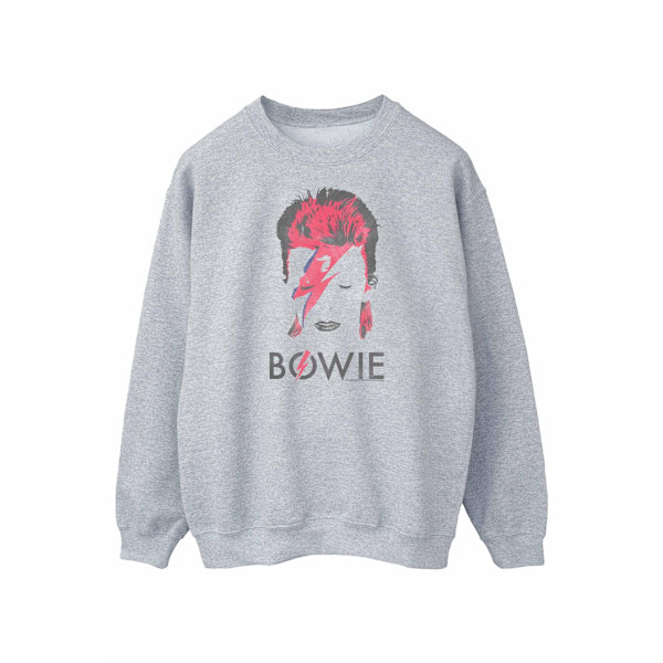 David Bowie Dam/Kvinnor Aladdin Sane Distressed Sweatshirt M Sports Grey M