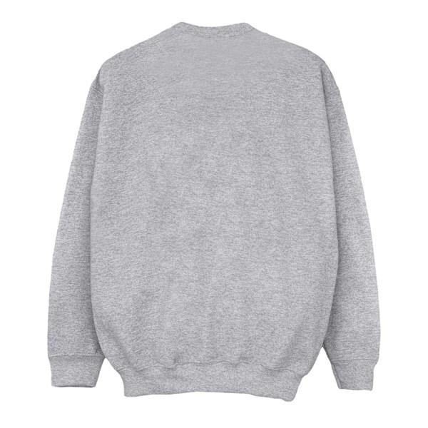 Disney Girls Winnie The Pooh Festive Sweatshirt 3-4 år Sport Sports Grey 3-4 Years