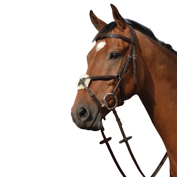 Collegiate Syntovia+ Vadderad Upphöjd Figur 8 Träns Cob Brun Brown Cob