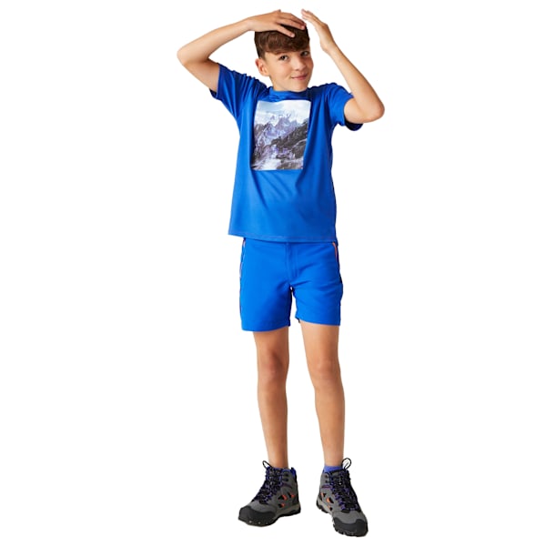 Regatta Barn/Barn Alvardo VIII Mountain T-Shirt 9-10 År Oxford Blue 9-10 Years