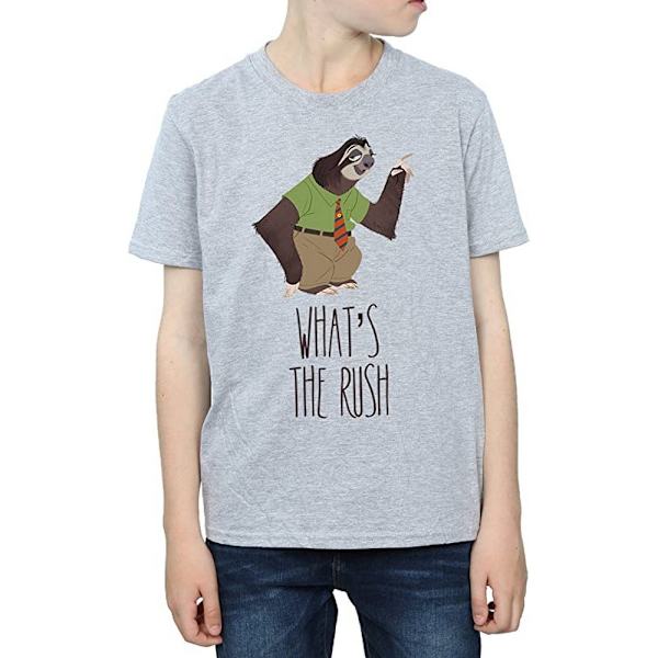 Zootropolis Boys What´s The Rush T-Shirt 9-11 år Sports Grey Sports Grey 9-11 Years