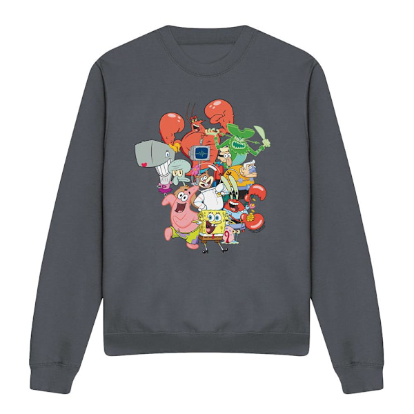 SvampBob Fyrkant Unisex Vuxen Hela Gänget Sweatshirt M Charcoal M